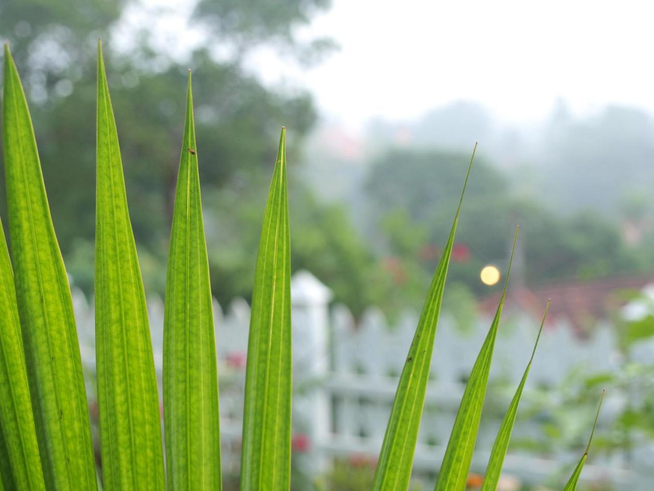 Namal Stay Weligama Ngoại thất bức ảnh